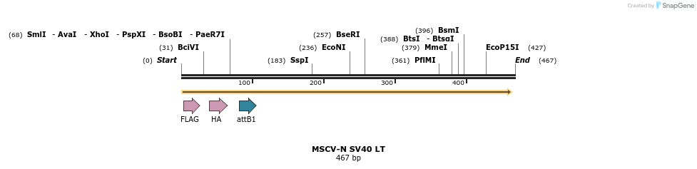 47496_map