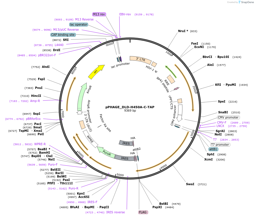 474963_map