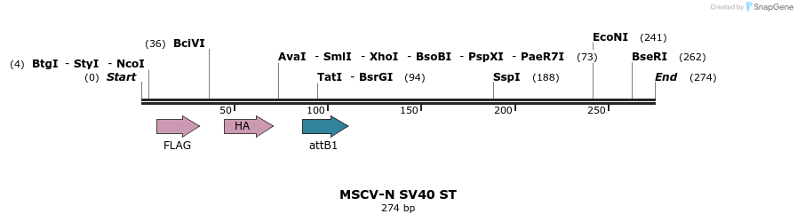 47502_map