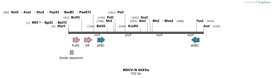 47506_map