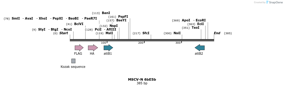 47507_map