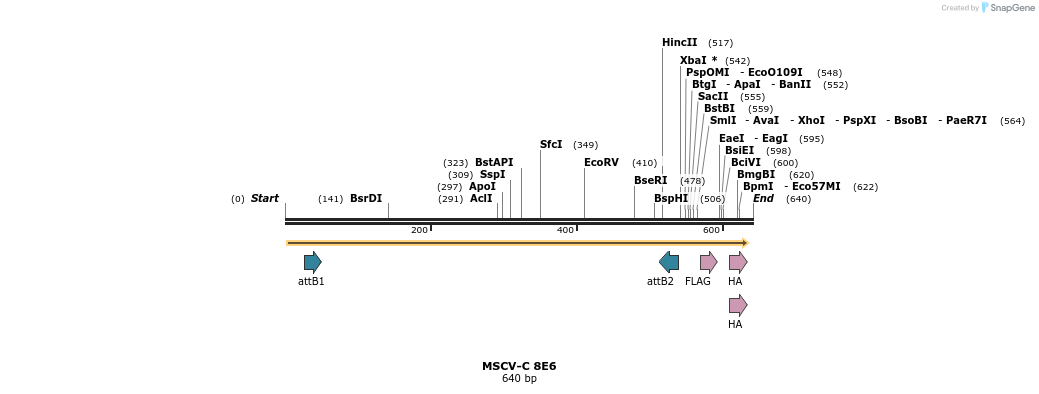 47512_map