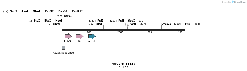 47514_map