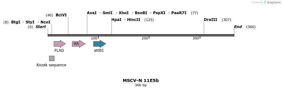 47515_map