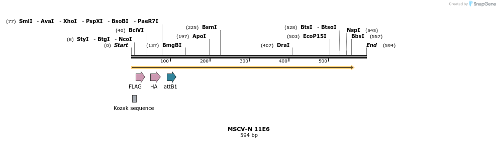 47516_map