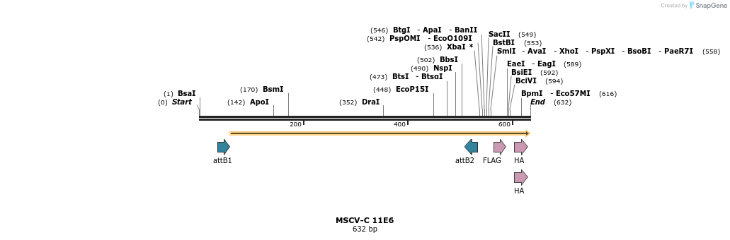 47517_map