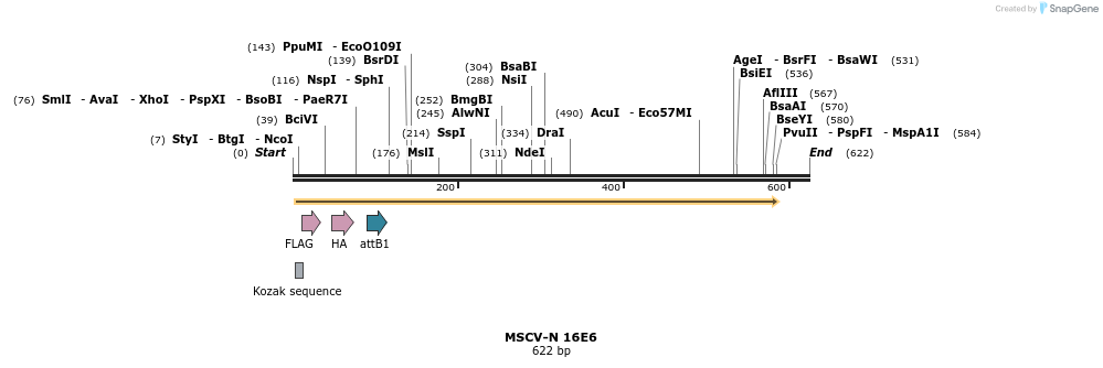 47519_map