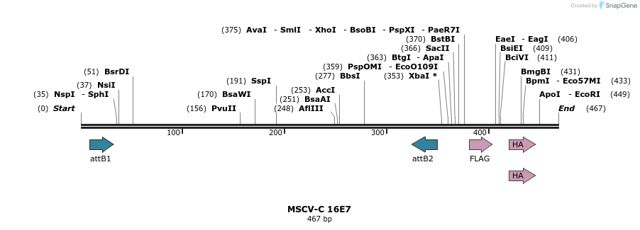 47521_map
