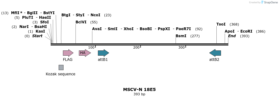 47527_map