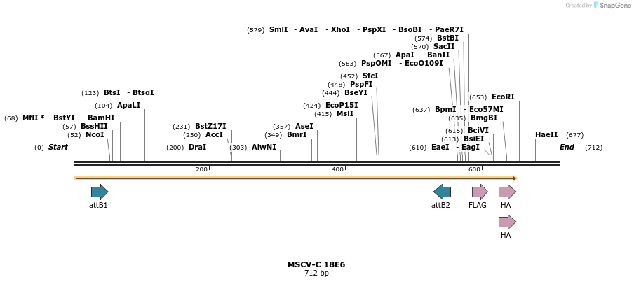 47529_map