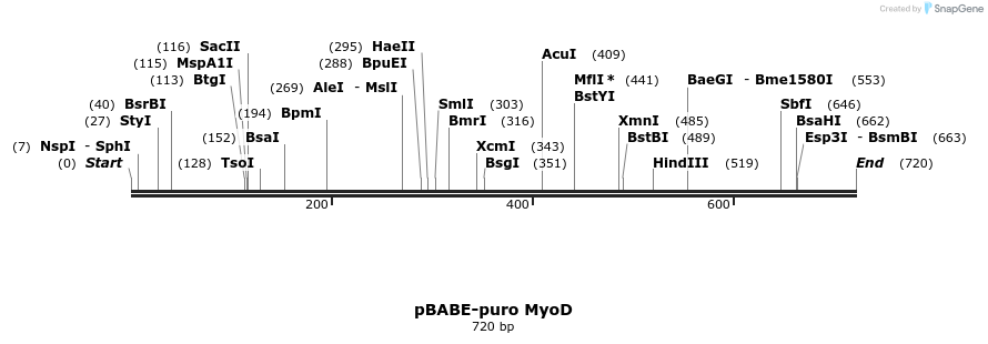 47540_map