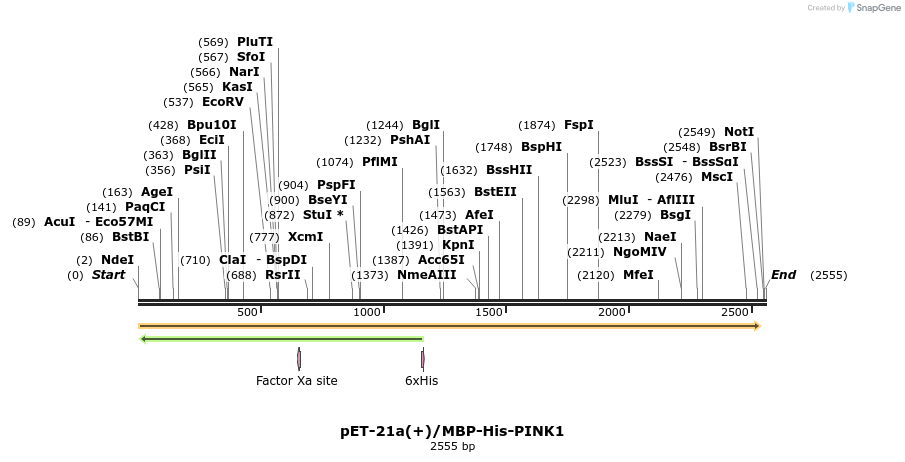 47541_map