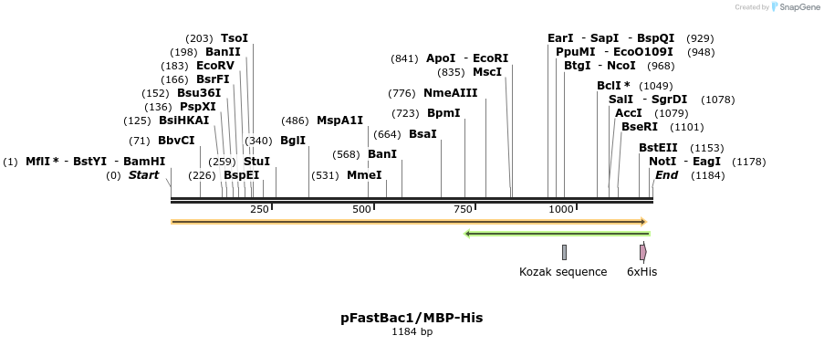 47545_map