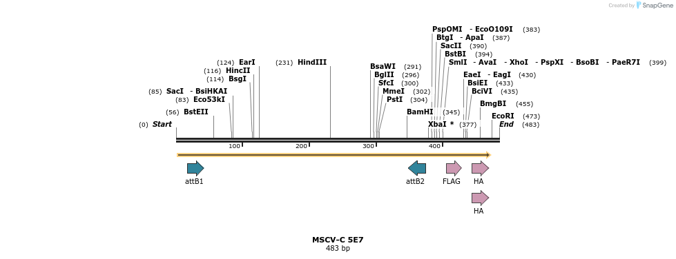 47556_map