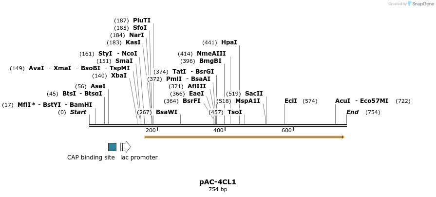 47566_map