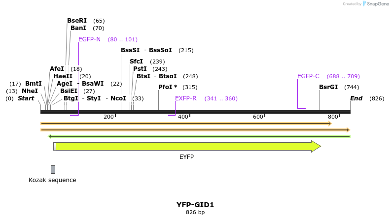 47569_map