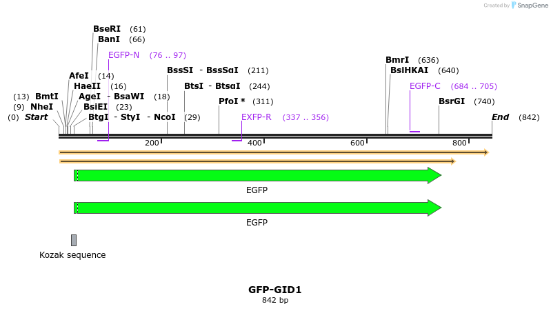 47570_map