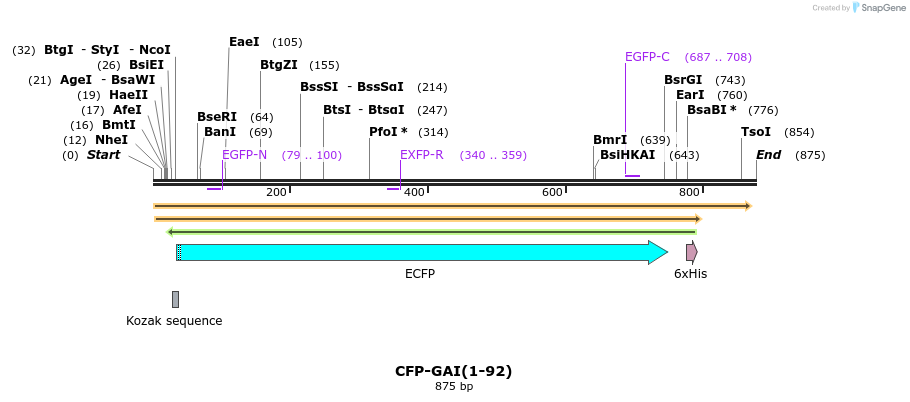 47571_map