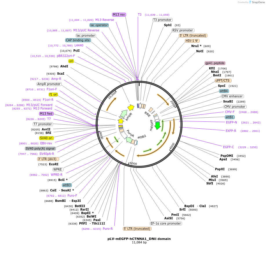 475711_map
