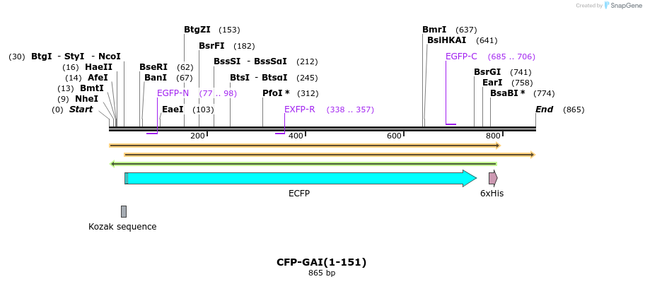 47572_map