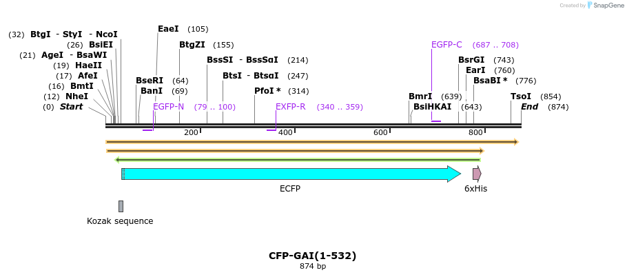 47574_map