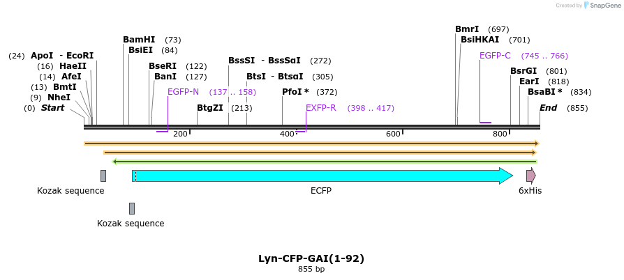 47575_map