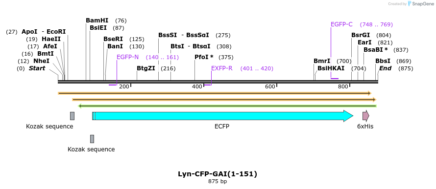 47576_map