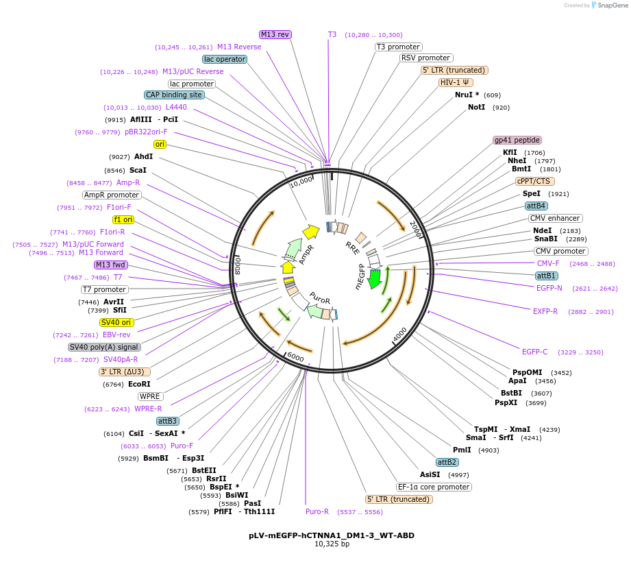 475772_map