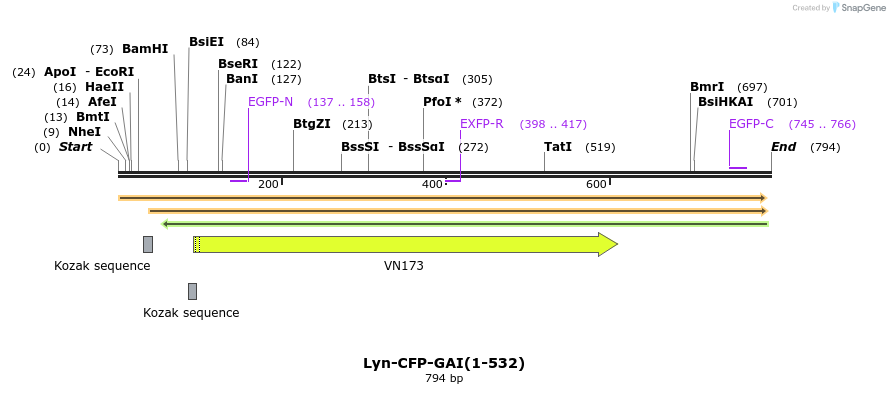 47578_map