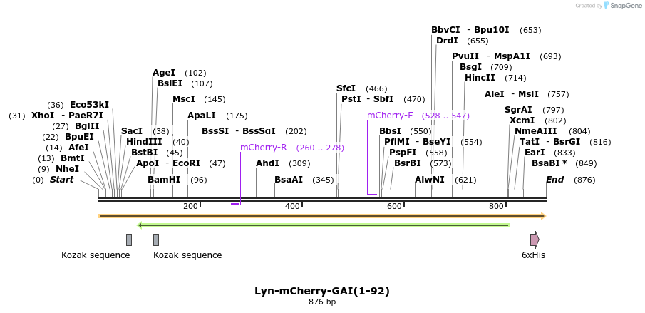 47579_map
