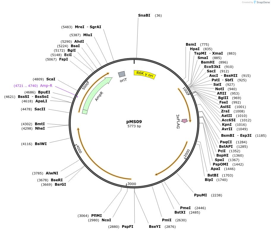 475919_map