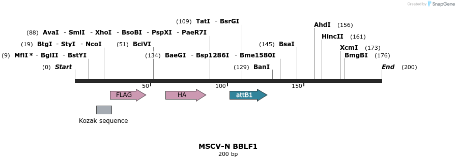 47592_map