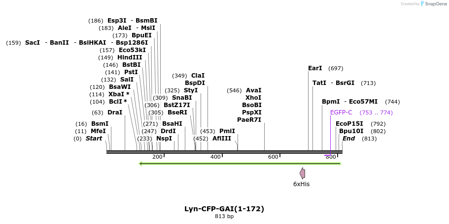 47595_map
