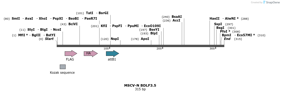 47597_map