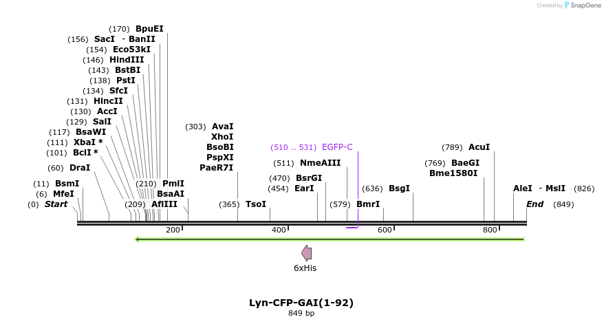 47598_map