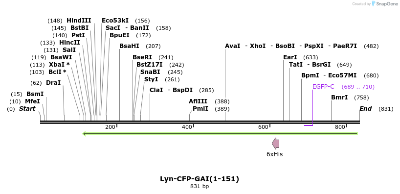 47599_map