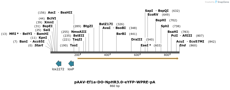47602_map