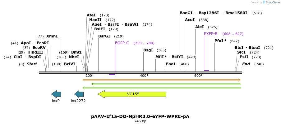 47603_map