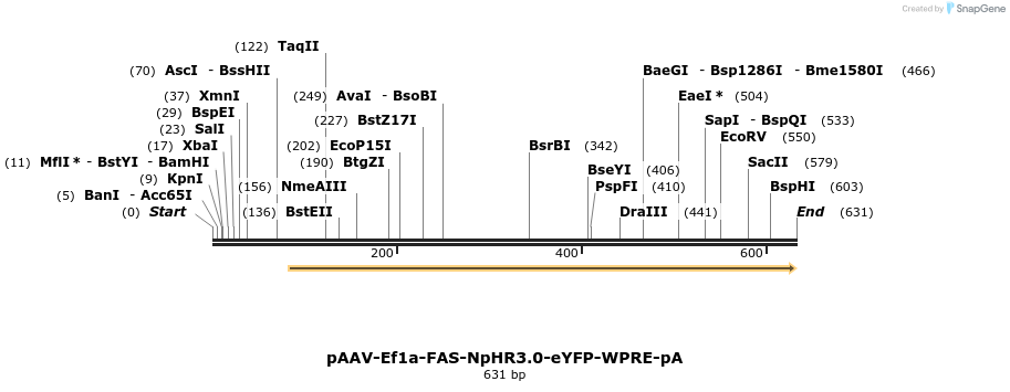 47604_map
