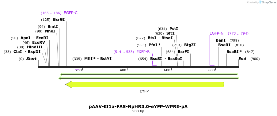 47605_map