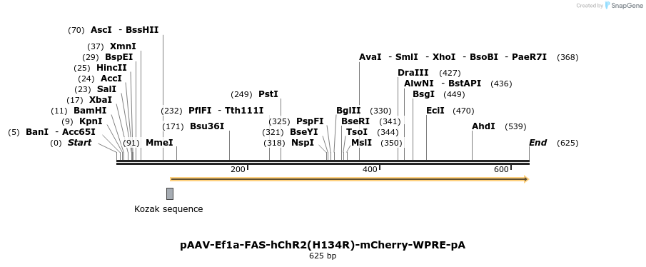 47606_map