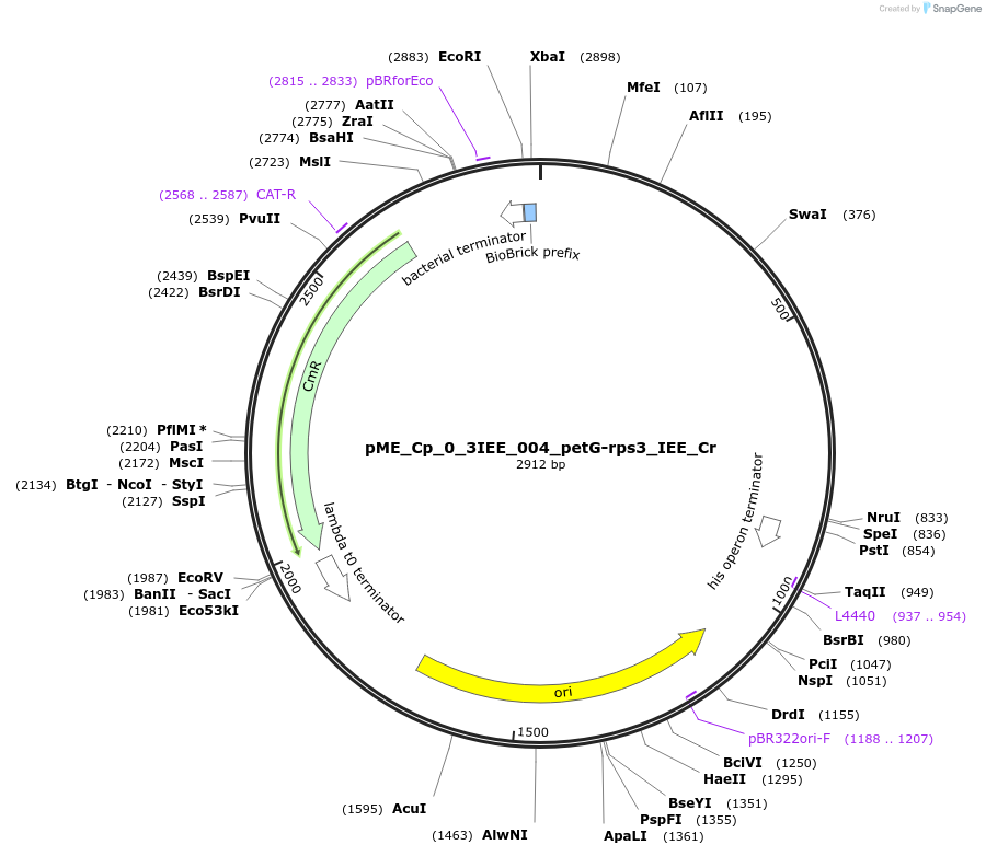 476071_map