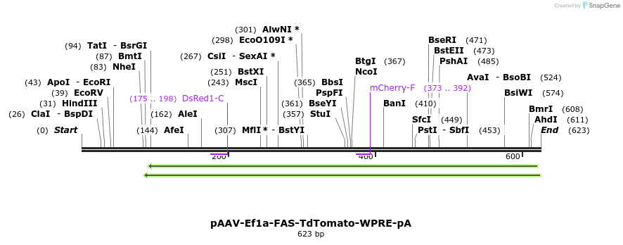 47610_map