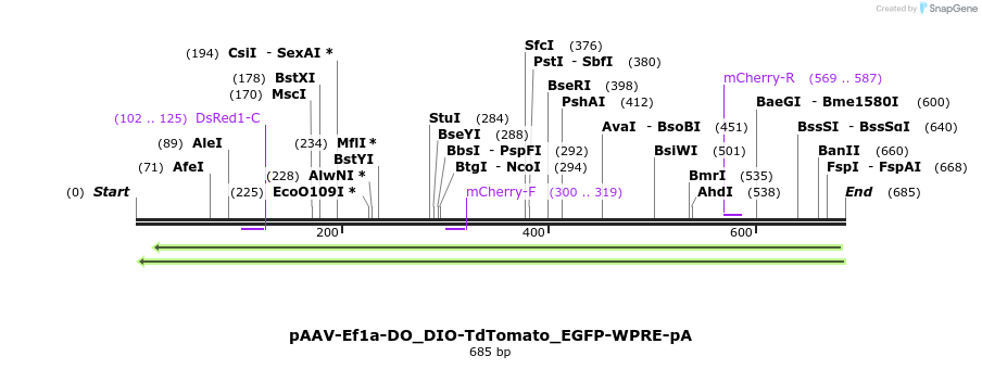 47611_map
