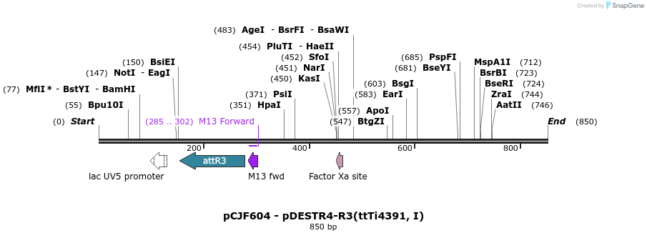 47612_map