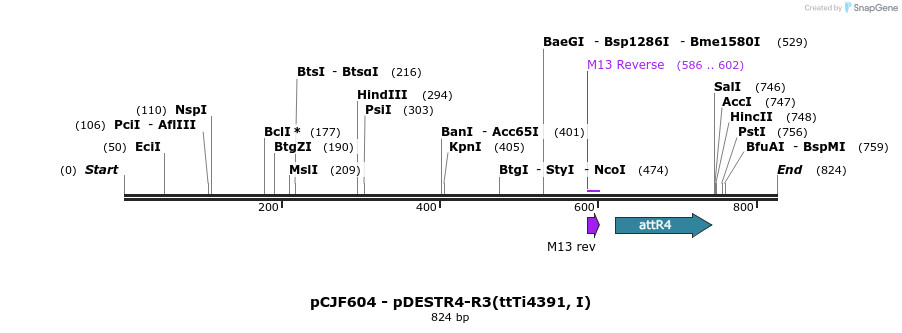 47613_map