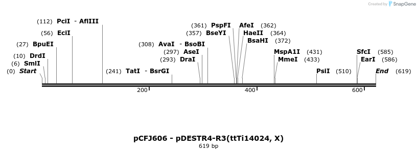 47614_map