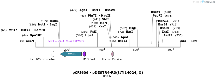 47615_map