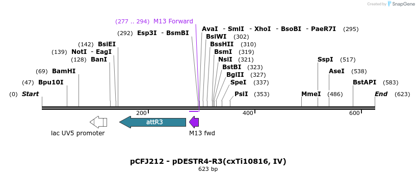 47618_map