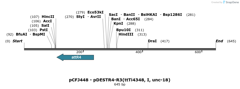 47619_map
